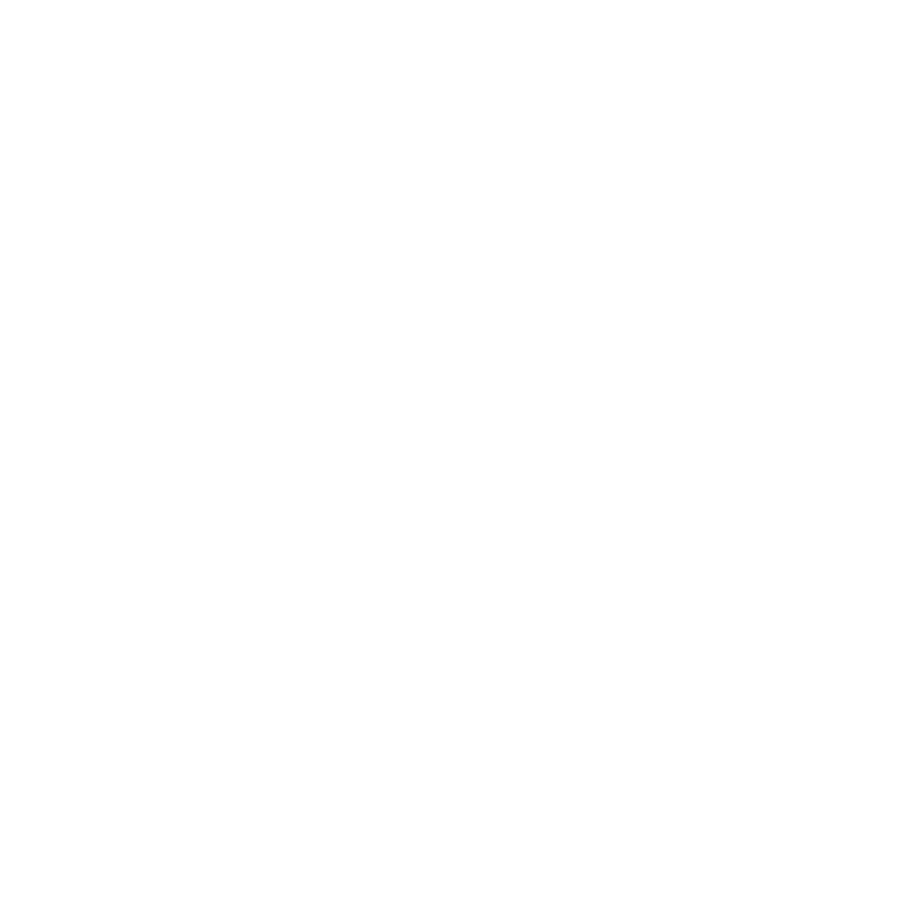 BLOCKAI Logo